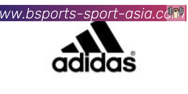 Bsports官网合作伙伴